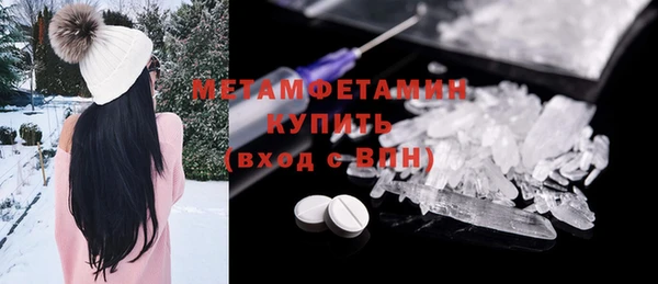 прущие грибы Балабаново
