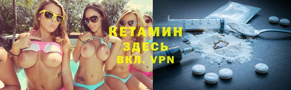 прущие грибы Балабаново