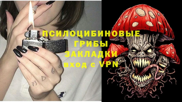 прущие грибы Балабаново