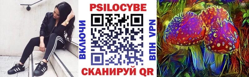 Галлюциногенные грибы Psilocybe  закладка  ОМГ ОМГ ТОР  Печора 